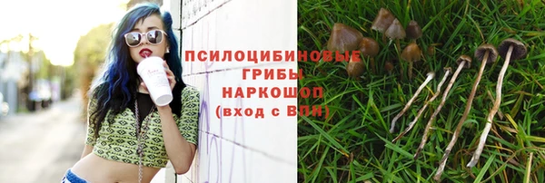 Альфа ПВП Корсаков